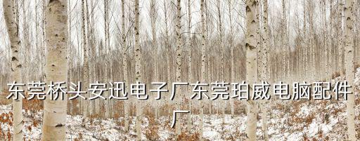 東莞橋頭安迅電子廠東莞珀威電腦配件廠