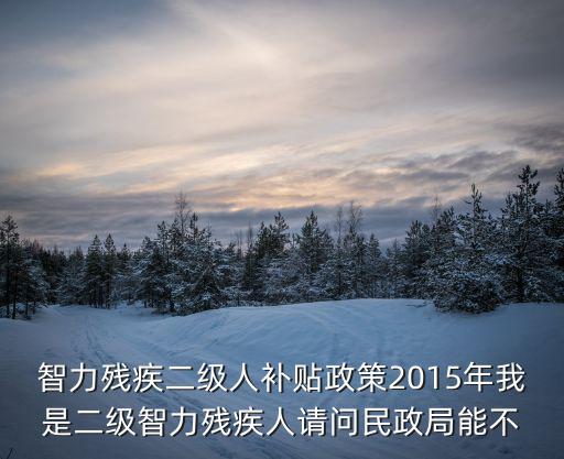 智力殘疾二級人補貼政策2015年我是二級智力殘疾人請問民政局能不
