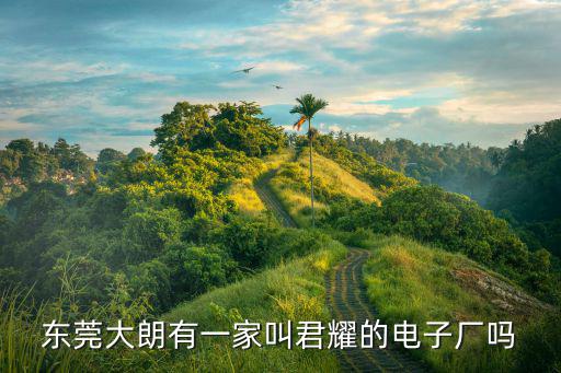 東莞大朗有一家叫君耀的電子廠嗎