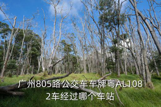 廣州805路公交車車牌粵AL1082車經過哪個車站