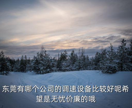 東莞有哪個公司的調速設備比較好呢希望是無憂價廉的哦