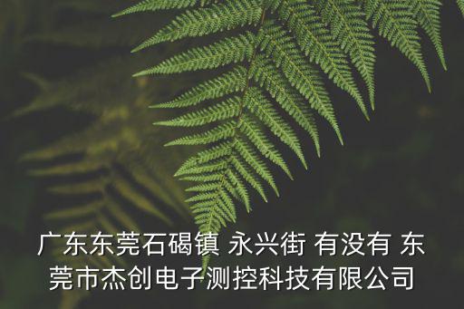 廣東東莞石碣鎮 永興街 有沒有 東莞市杰創電子測控科技有限公司