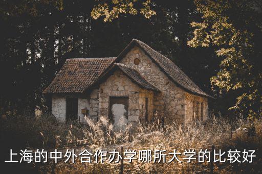 上海的中外合作辦學(xué)哪所大學(xué)的比較好