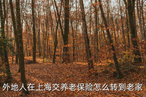 外地人在上海交養(yǎng)老保險怎么轉到老家