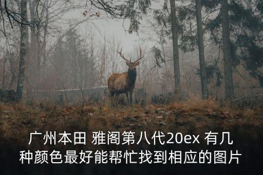 廣州本田 雅閣第八代20ex 有幾種顏色最好能幫忙找到相應的圖片