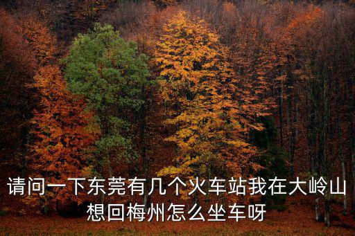 請問一下東莞有幾個火車站我在大嶺山想回梅州怎么坐車呀