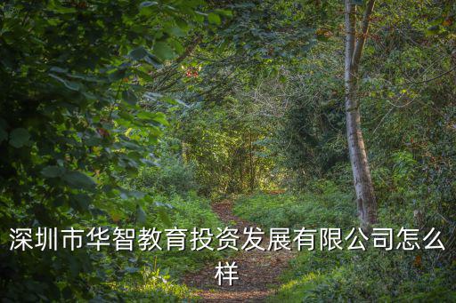 深圳市華智教育投資發展有限公司怎么樣