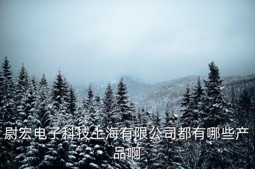 尉宏電子科技上海有限公司都有哪些產(chǎn)品啊