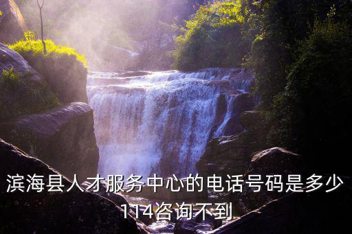 濱海縣人才服務中心的電話號碼是多少114咨詢不到