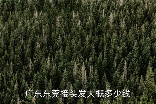 廣東東莞接頭發大概多少錢