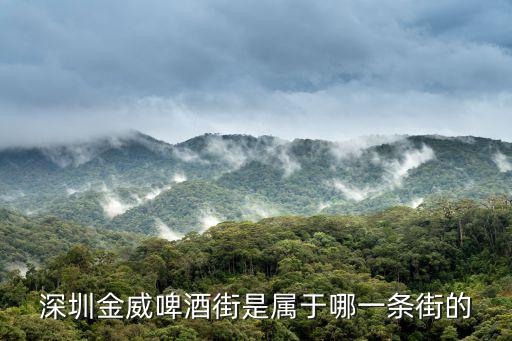 深圳喝啤酒的地方，深圳哪的酒吧最多