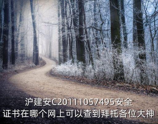 滬建安C20111057495安全證書在哪個網(wǎng)上可以查到拜托各位大神