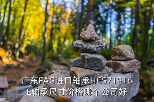 廣東FAG進口軸承HCS71916E軸承尺寸價格哪個公司好
