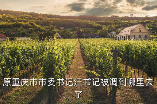 原重慶市市委書記汪書記被調(diào)到哪里去了