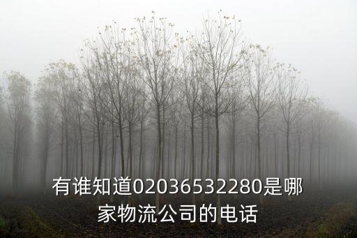 有誰知道02036532280是哪家物流公司的電話