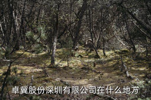 卓冀股份深圳有限公司在什么地方