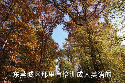 東莞城區(qū)那里有培訓(xùn)成人英語的