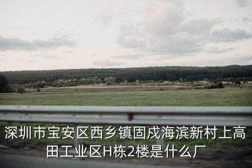深圳市寶安區西鄉鎮固戍海濱新村上高田工業區H棟2樓是什么廠
