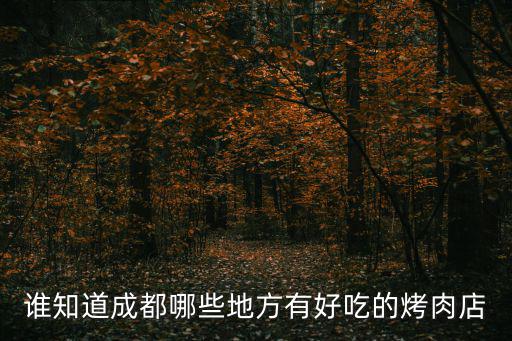 誰知道成都哪些地方有好吃的烤肉店