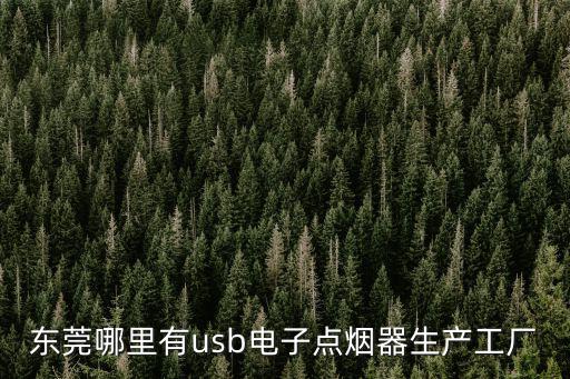 東莞哪里有usb電子點(diǎn)煙器生產(chǎn)工廠