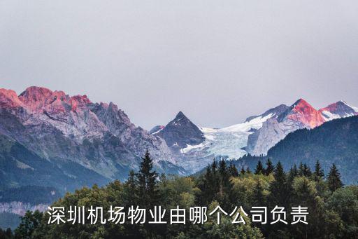 深圳機場物業由哪個公司負責