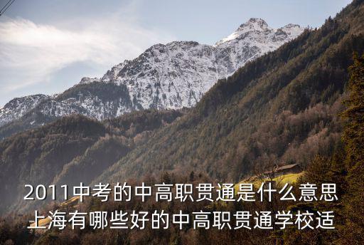 2011中考的中高職貫通是什么意思上海有哪些好的中高職貫通學校適