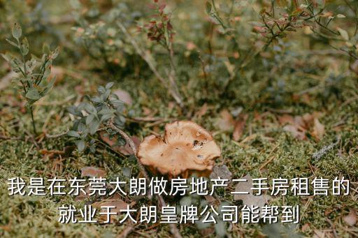 東莞皇信咨詢有限公司怎么樣，東莞市愛信信息技術(shù)有限公司怎么樣