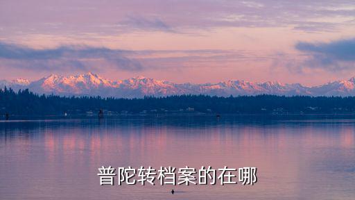 普陀轉檔案的在哪
