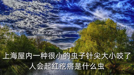 上海市屋內常見蟲子有哪些，屋內有好多蟲子