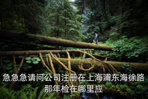 急急急請問公司注冊在上海浦東海徐路那年檢在哪里應