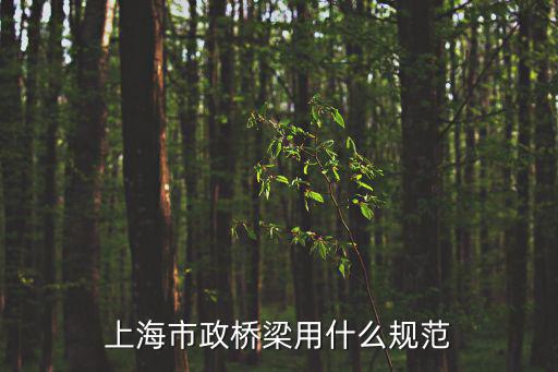 上海市政橋梁用什么規(guī)范