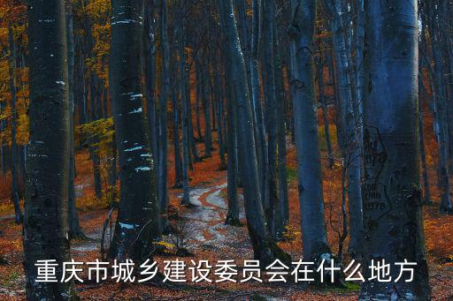 重慶市城鄉(xiāng)建設(shè)委員會在什么地方
