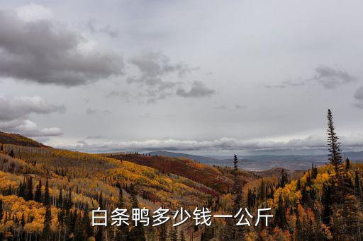 白條鴨多少錢一公斤
