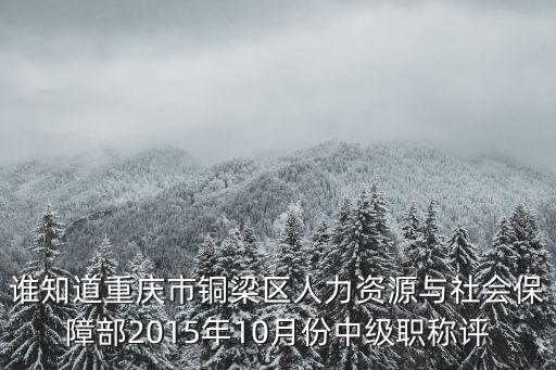 誰知道重慶市銅梁區人力資源與社會保障部2015年10月份中級職稱評