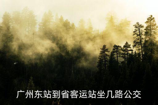 廣州東站到省客運站坐幾路公交
