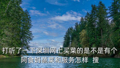 打聽(tīng)了一下深圳網(wǎng)上買菜的是不是有個(gè)阿食媽蔬菜和服務(wù)怎樣  搜