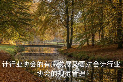 計(jì)行業(yè)協(xié)會(huì)的有序發(fā)展又要對(duì)會(huì)計(jì)行業(yè)協(xié)會(huì)的規(guī)范管理