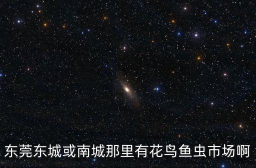 東莞東城或南城那里有花鳥魚蟲市場啊