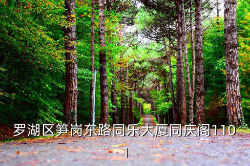 深圳市輝震商貿有限公司，羅湖區筍崗東路同樂大廈同慶閣1101