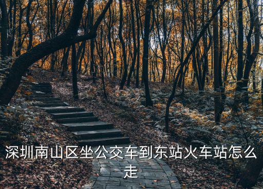 深圳南山區(qū)坐公交車(chē)到東站火車(chē)站怎么走