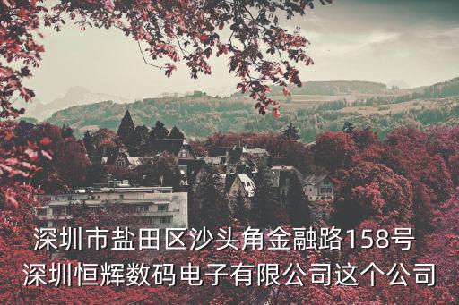 深圳市鹽田區(qū)沙頭角金融路158號 深圳恒輝數(shù)碼電子有限公司這個公司