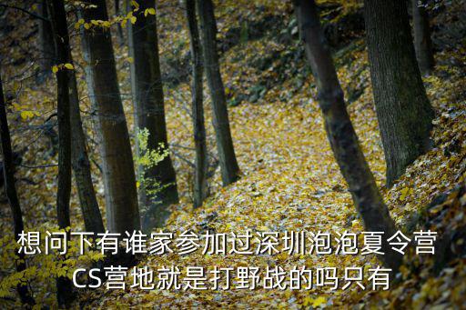 想問下有誰家參加過深圳泡泡夏令營 CS營地就是打野戰(zhàn)的嗎只有