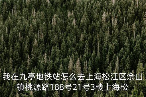 上海市松江區桃園路，想知道 上海市松江區桃園路138號在哪