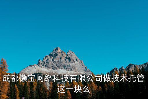 成都懶寶網(wǎng)絡(luò)科技有限公司做技術(shù)托管這一塊么
