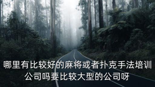 哪里有比較好的麻將或者撲克手法培訓(xùn)公司嗎要比較大型的公司呀