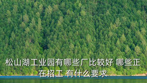 松山湖工業園有哪些廠比較好 哪些正在招工 有什么要求