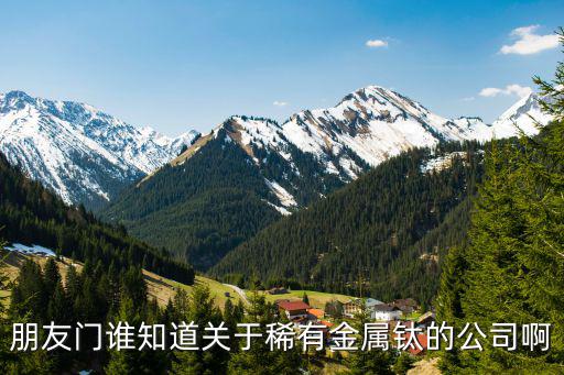 朋友門誰知道關于稀有金屬鈦的公司啊