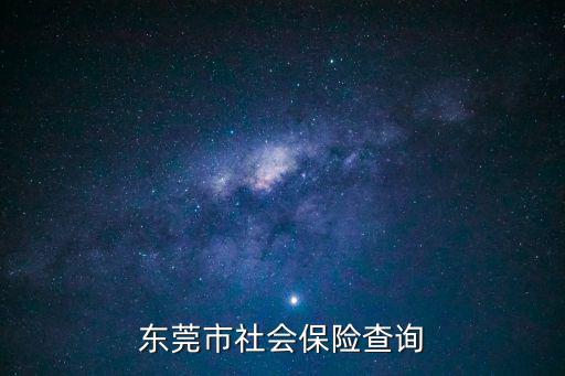 東莞市社會(huì)保險(xiǎn)查詢