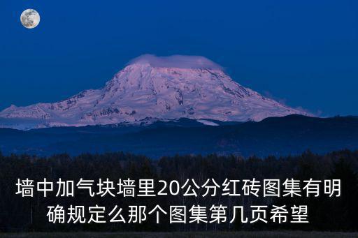 墻中加氣塊墻里20公分紅磚圖集有明確規(guī)定么那個(gè)圖集第幾頁希望
