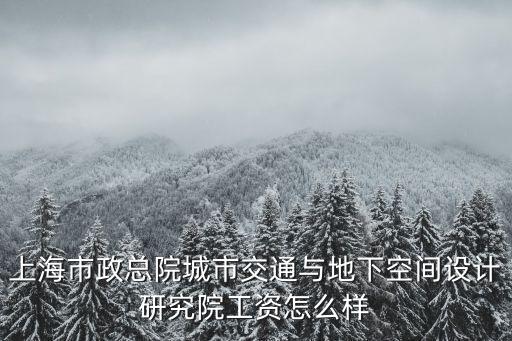 上海市政總院城市交通與地下空間設計研究院工資怎么樣